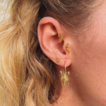 Composition-hoop-scorpion-boucle-oreille-étoile